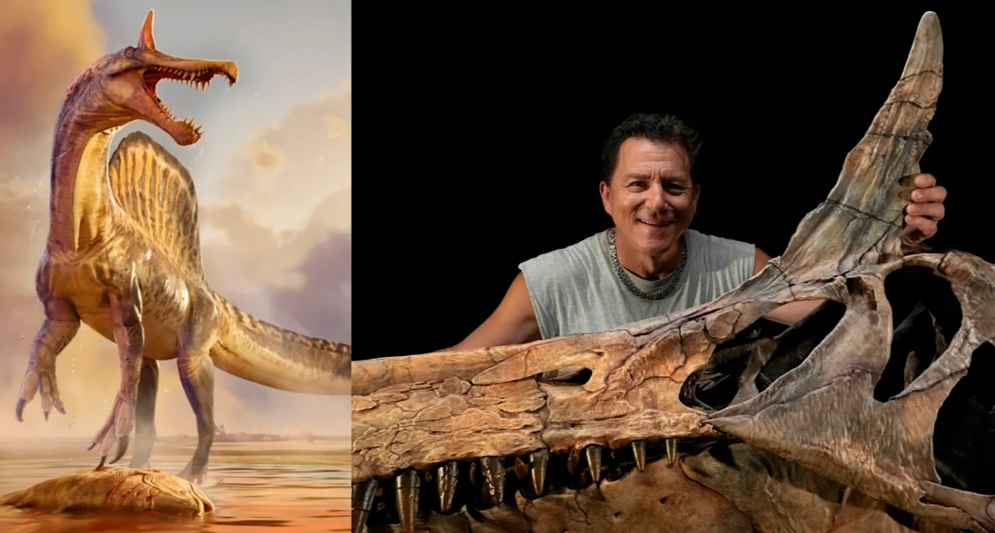 Inland Sahara Unveils Scimitar-Crest Spinosaurus Mirabilis