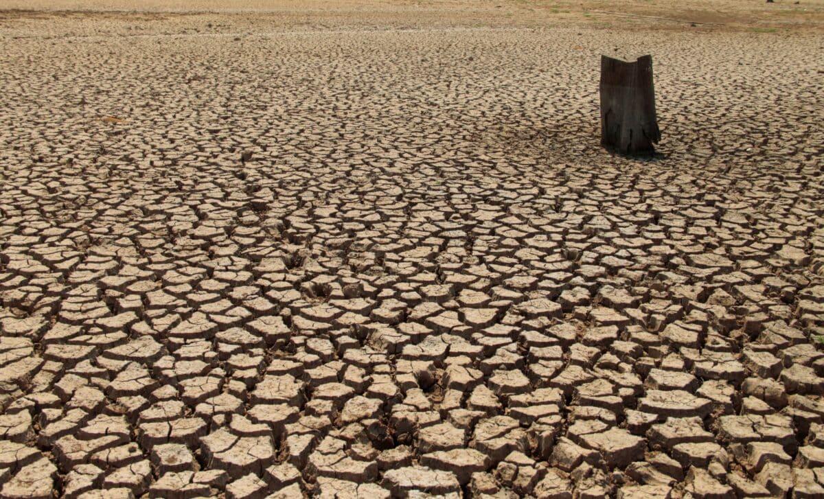 Featured image for Earth's Water Crisis: Rapid Drying and Rising Sea Levels