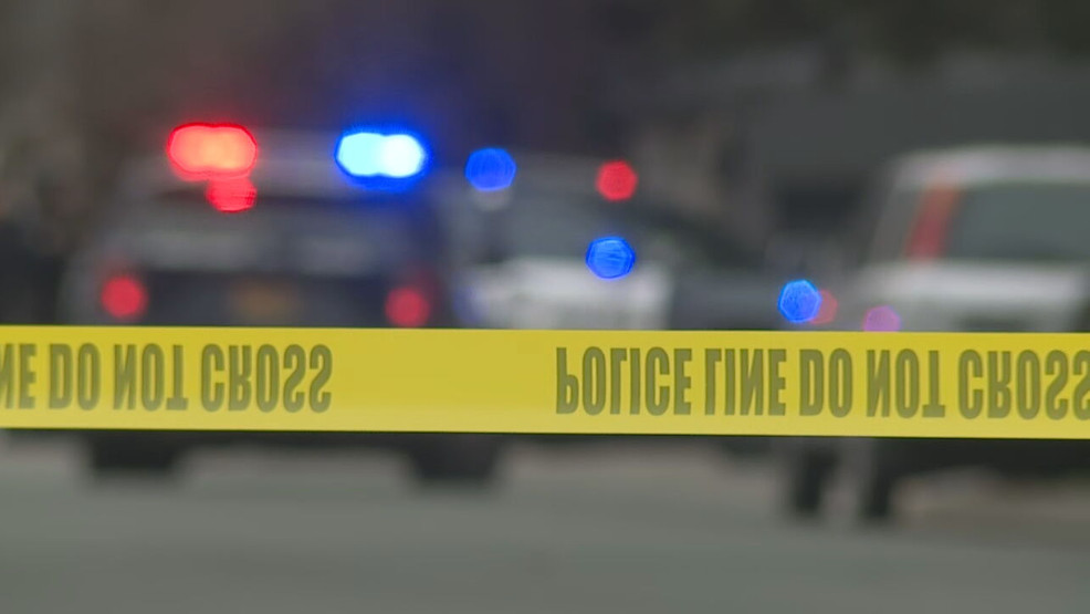 Weekend shootings leave multiple dead and injured in Portland and Chicago.