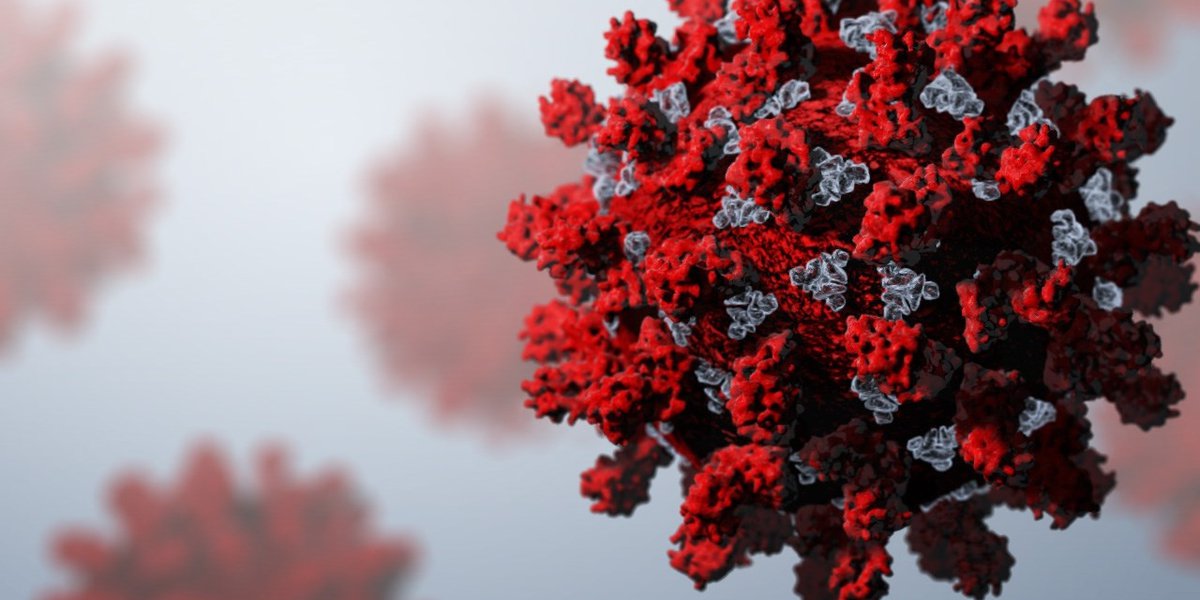 Featured image for COVID-19 no longer a public health emergency, says WHO.