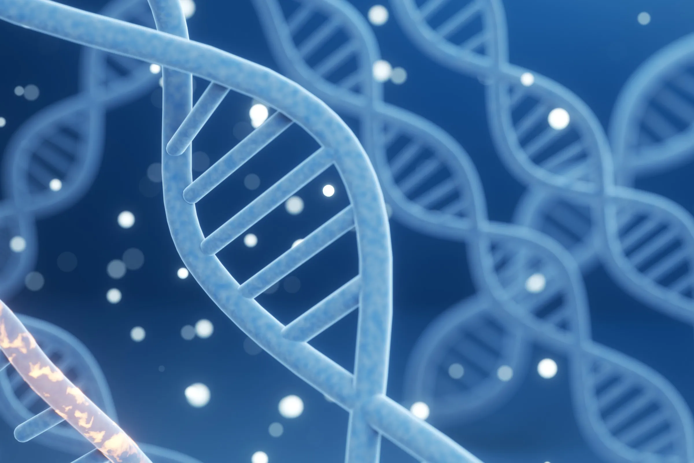 Featured image for Herpes Virus Alters Human DNA and Chromatin, but a Single Enzyme Offers Hope