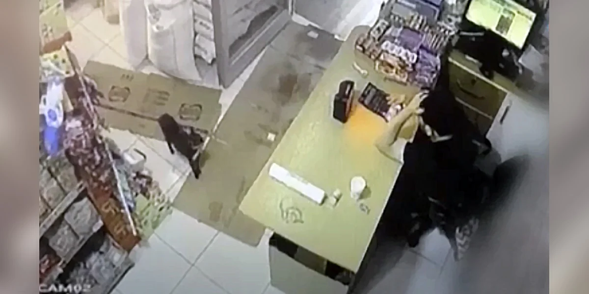 Featured image for Clever Cat's Prank Leaves Shopkeeper Confused