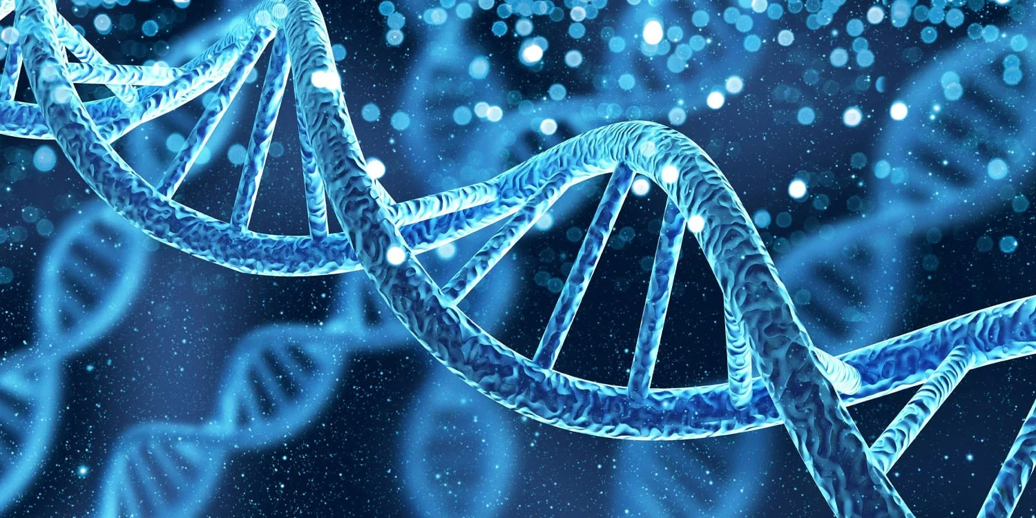 Polygenic anhedonia risk linked to altered reward-brain activity