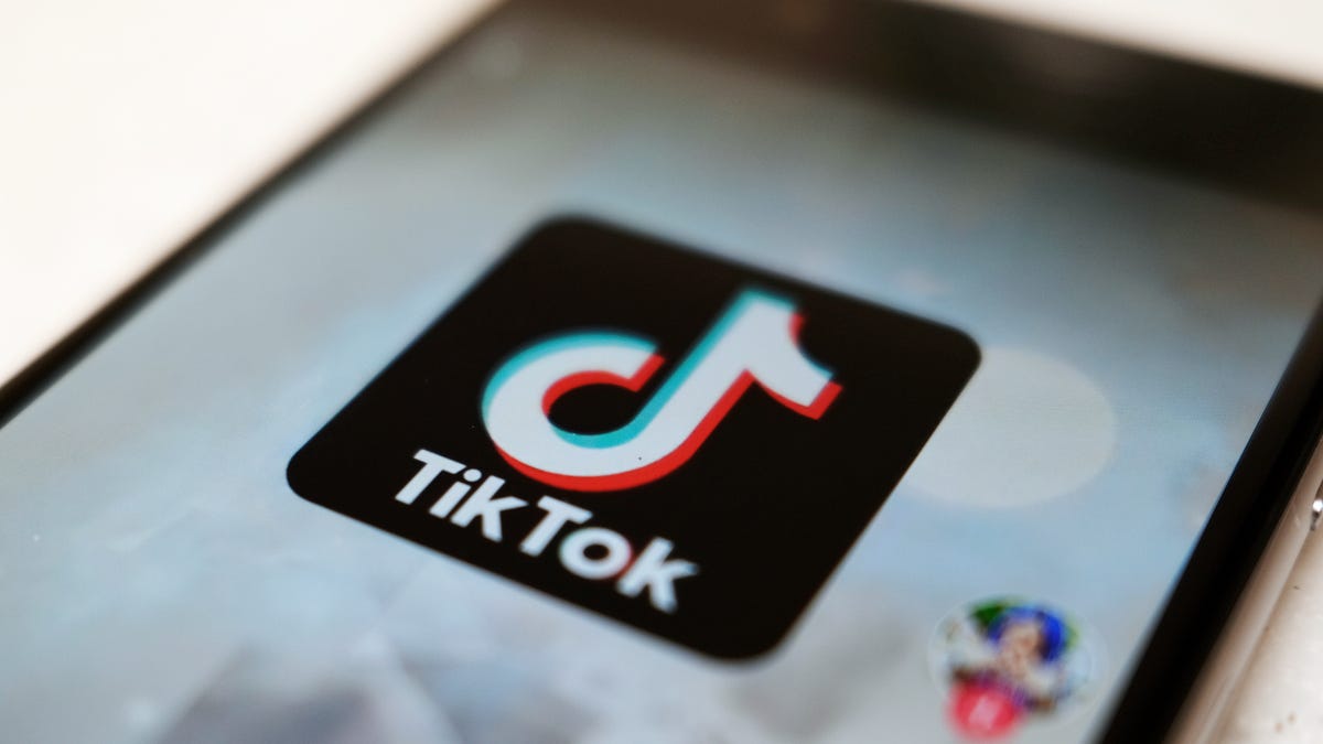 "Unraveling the Viral 'Who TF Did I Marry' TikTok Series"