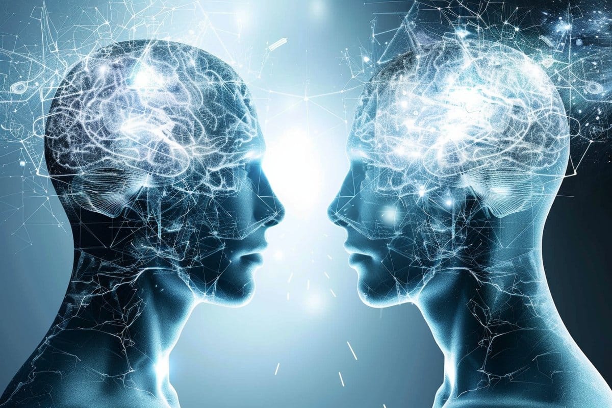 "Unveiling the Neurological Circuitry Behind Decision-Making"