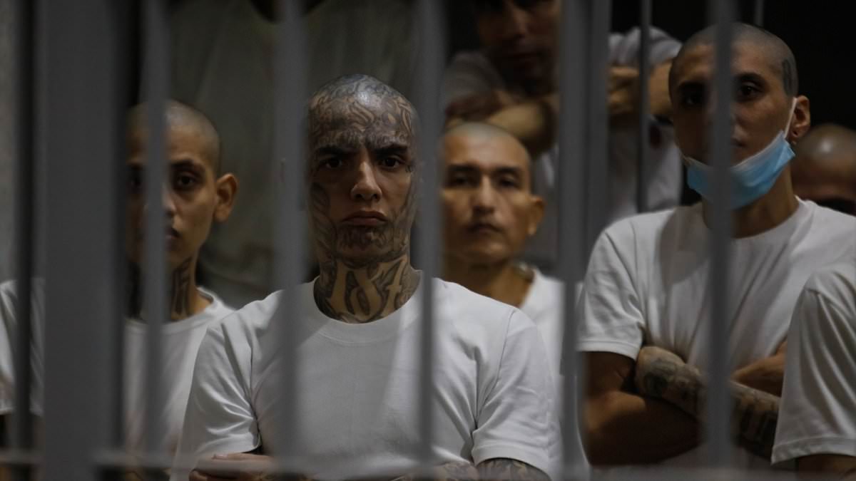 El Salvador's Controversial Anti-Gang Crackdown: Successes and Backlash