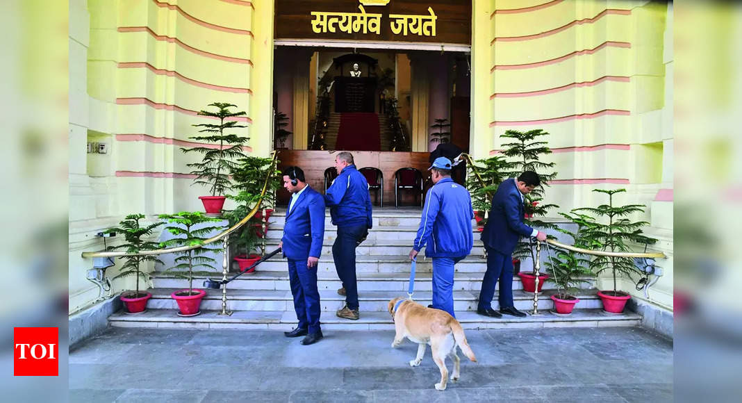 Featured image for "Bihar Trust Vote: Nitish Kumar Gains Momentum Amidst Political Maneuvering"