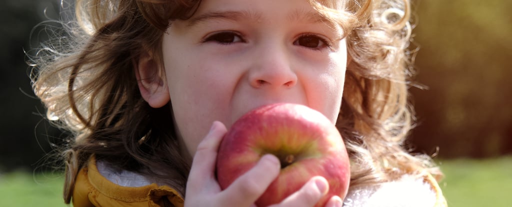 Featured image for Pesticide Exposure Tied to Brain Abnormalities in Children