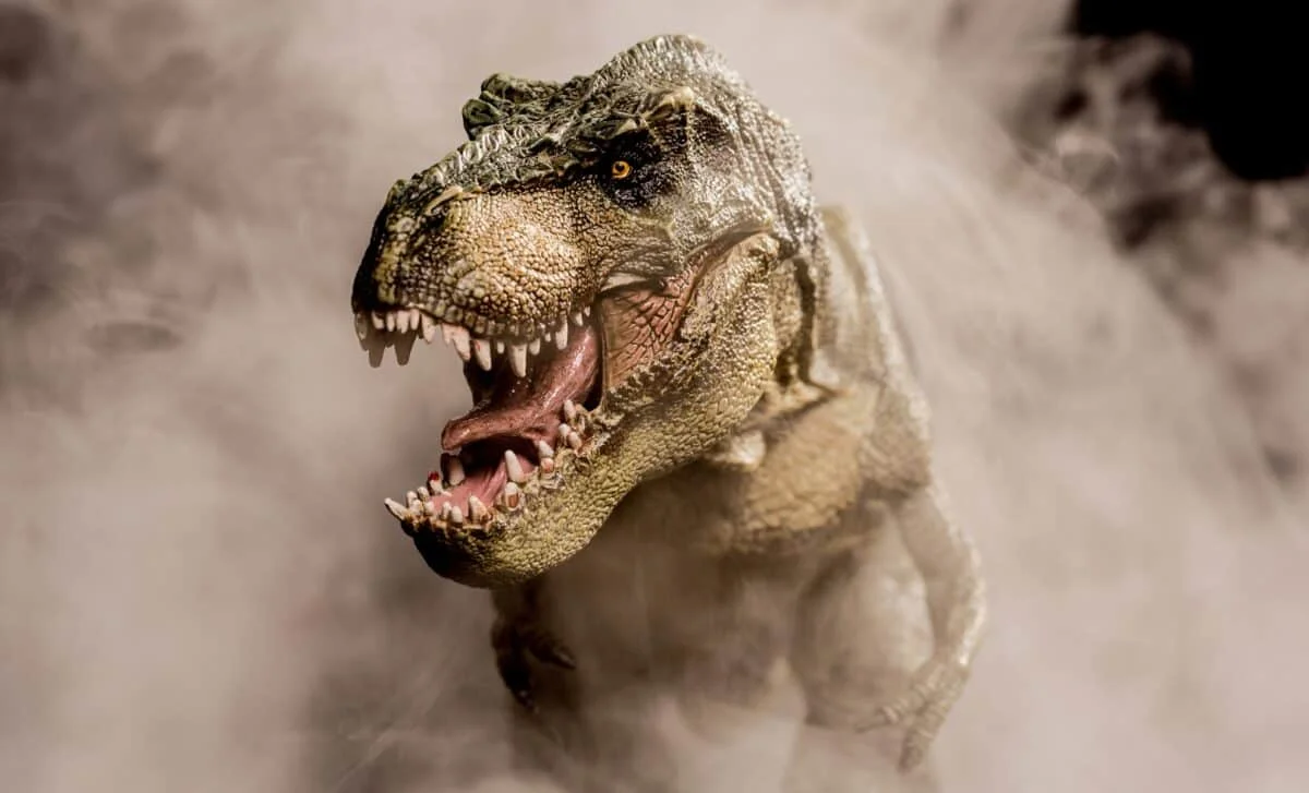 T. rex Rewrites Its Growth Timeline: Adulthood Arrives at 35–40