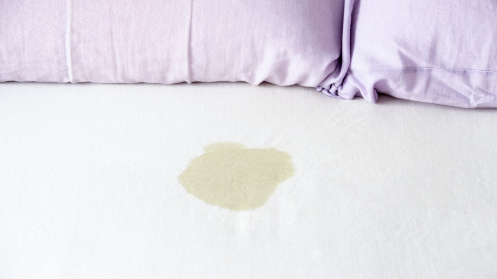 Featured image for "Say Goodbye to Urine Stains: The Ultimate Fabric-Cleaning Solution"