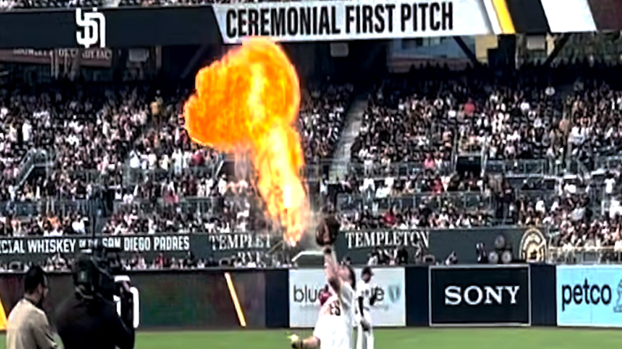 Steve-O's Epic First Pitch at Padres Game Goes Viral.