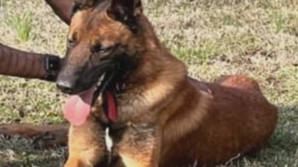 Chapmanville police K-9 still missing, community worried.