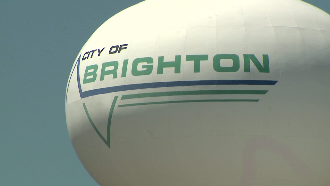 Featured image for "Alarming Rise in Feline Fatalities Alarms Brighton Community"