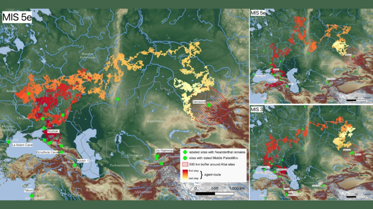 Revealing the Rapid and Extensive Migration Routes of Neanderthals Across Eurasia