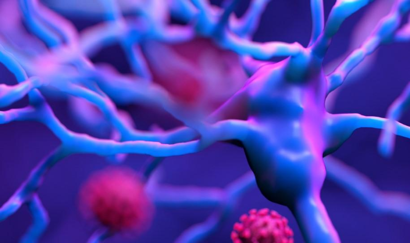 Featured image for Brain Changes Detected in Small Study of Omicron COVID Variant