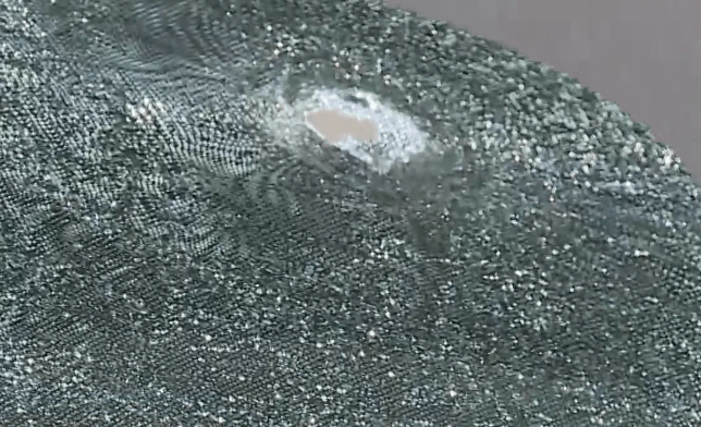 Teens in Custody for Firing Shots at Virginia Beach Officer