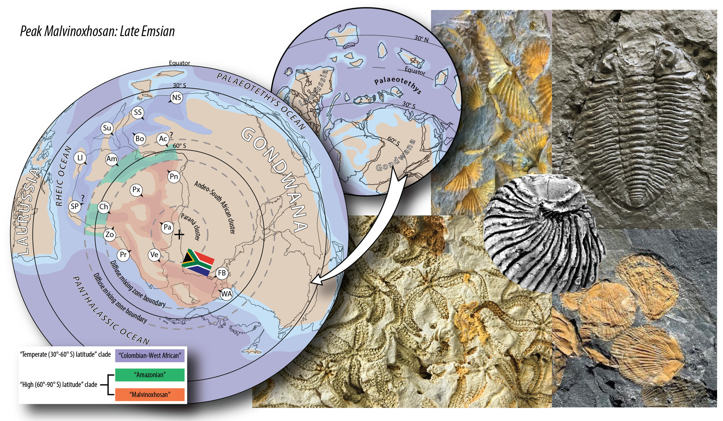 Featured image for Ancient Climate Shifts Reshaped South Pole Marine Life