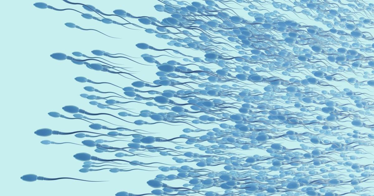 Featured image for The Impact of Semen Microbiome on Male Fertility