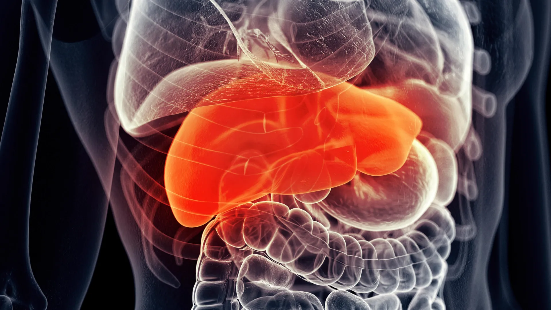 Featured image for Liver Supplement May Enhance Cancer Immunotherapy Effectiveness