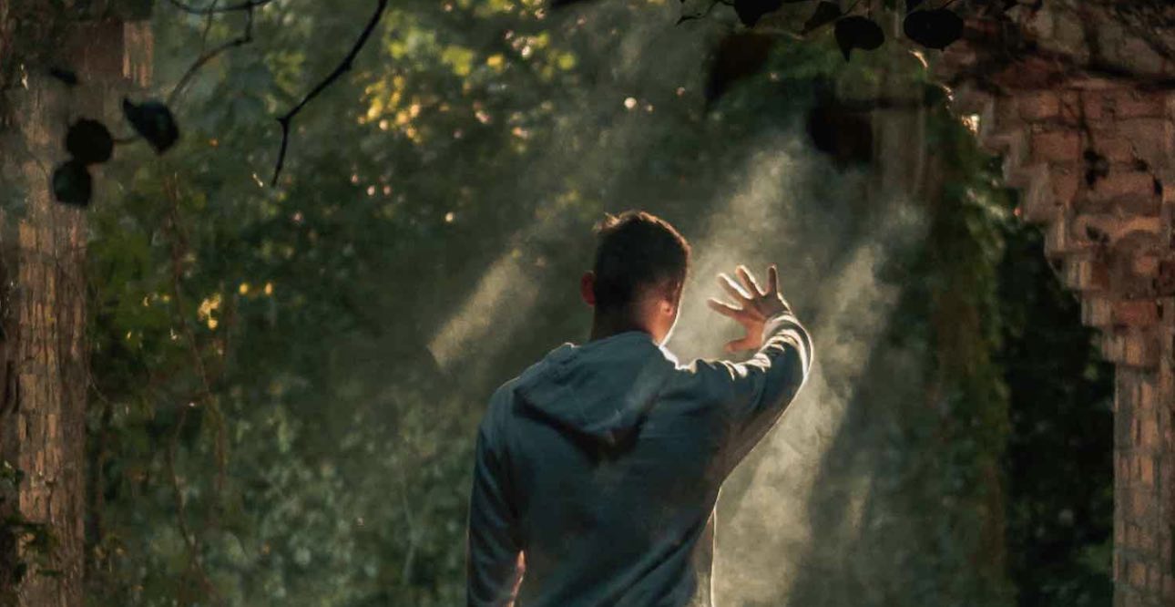 Featured image for The Healing Power of Nature: Evidence from 28 Studies