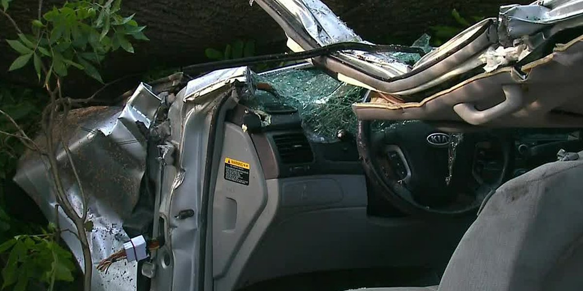 Featured image for Fatal Storm: Woman Crushed by Tree in Parked Car