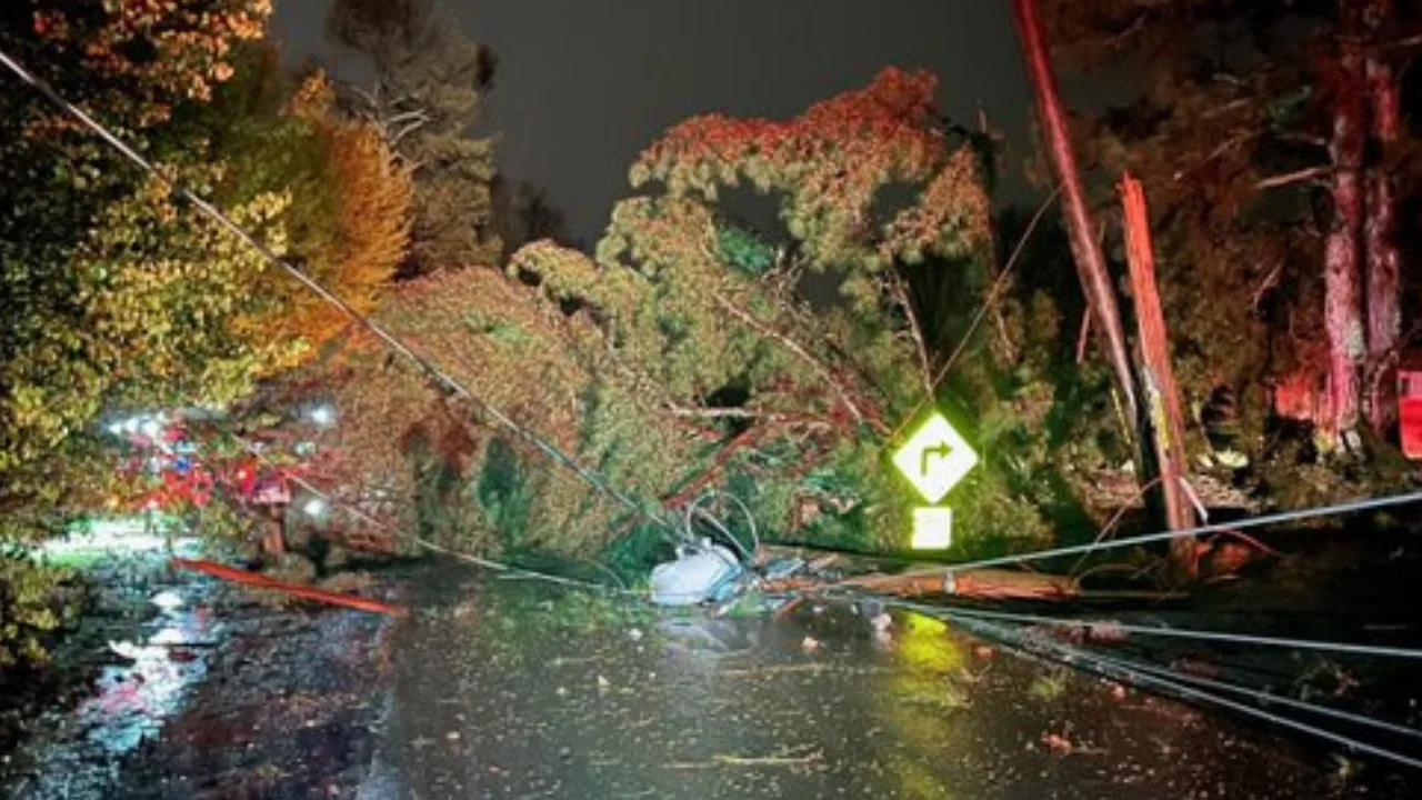 Strong storms cause damage in Tennessee Valley.