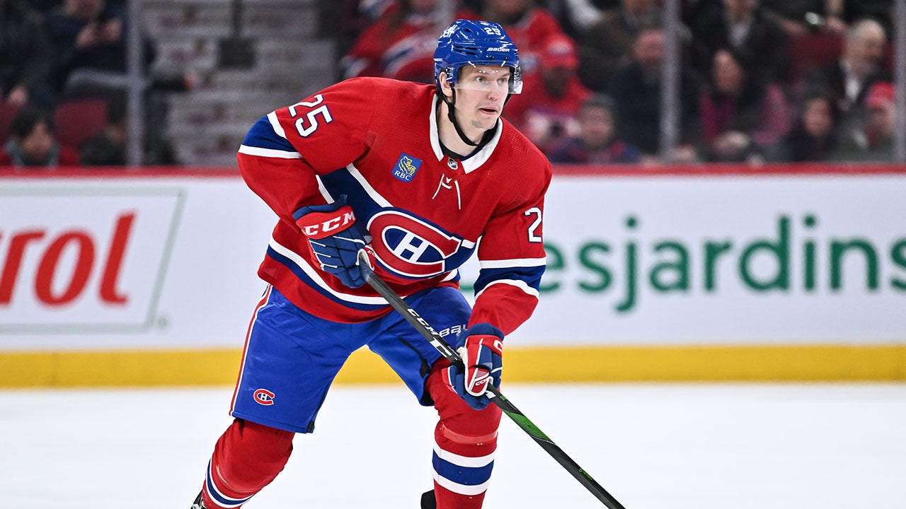 NHL Players' Actions Highlight Divisions on Pride Nights.