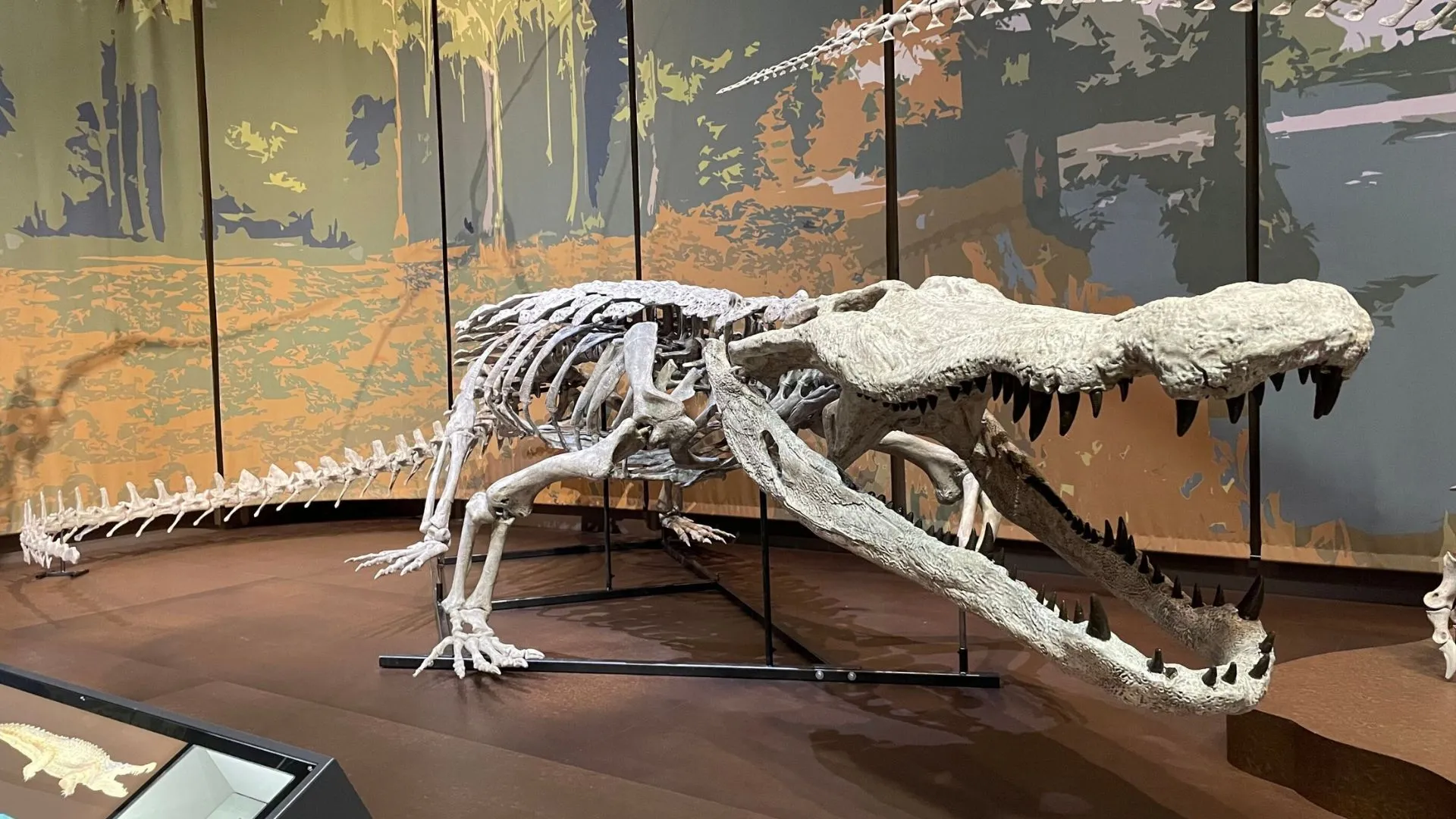 Featured image for Georgia Museum Unveils First Accurate Replica of 'Dinosaur-Killing' Croc