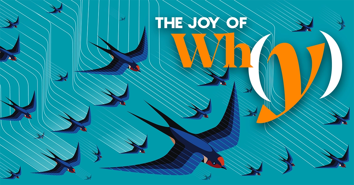 Featured image for "The Surprising Connection Between Flocking and Computing"