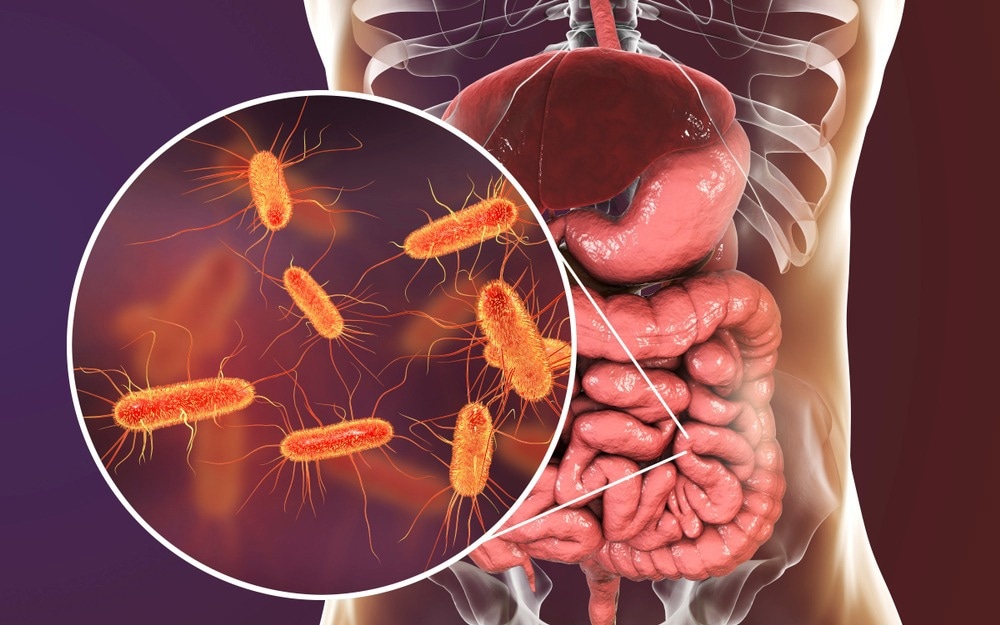"Unveiling the Gut-Mind Connection: Myths, Truths, and Strategies for Health"
