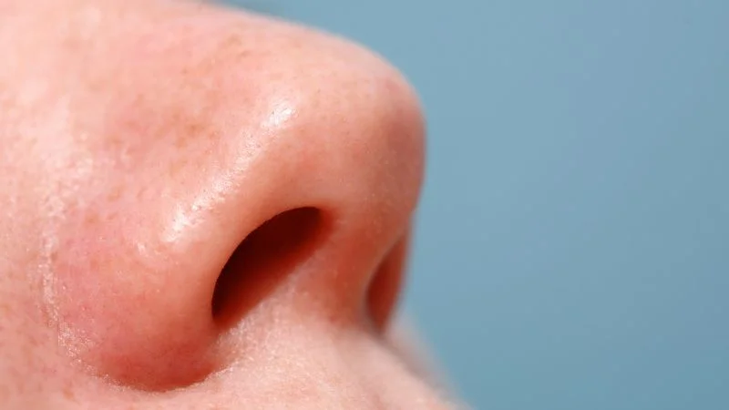 Nose Know-How: Why Your Breathing Switches Between Nostrils All Day