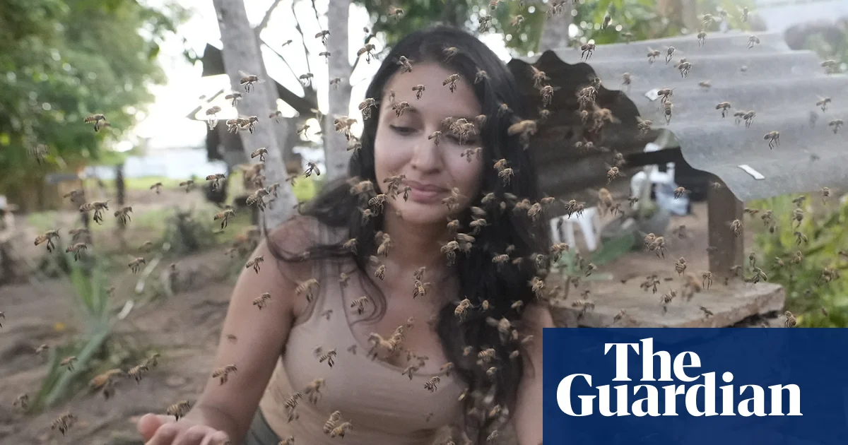 Featured image for Amazon's Stingless Bees Awarded Legal Rights in Historic First
