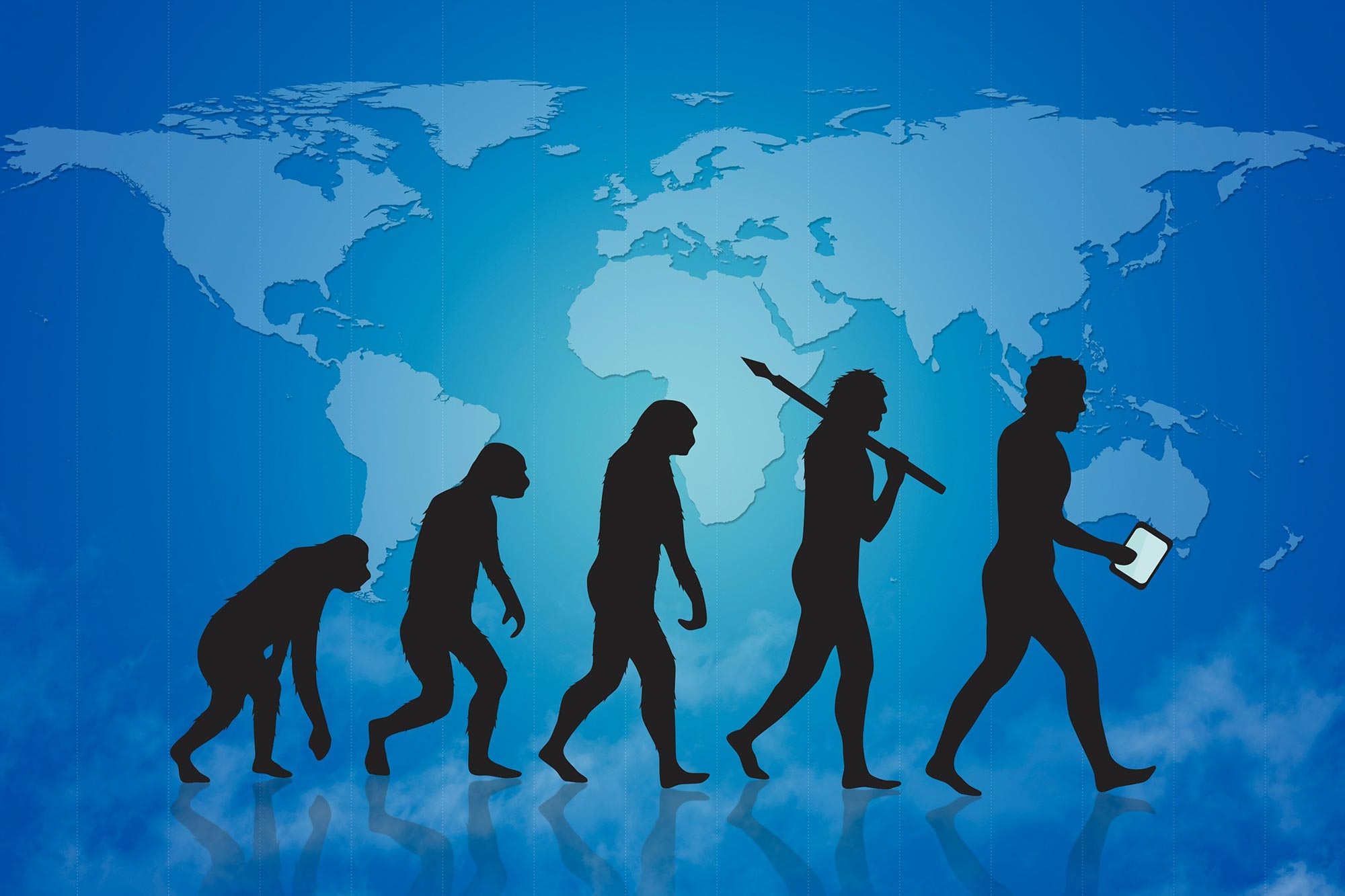 "The Fascinating Evolutionary Advantages of Our Spring-Like Foot Arch"