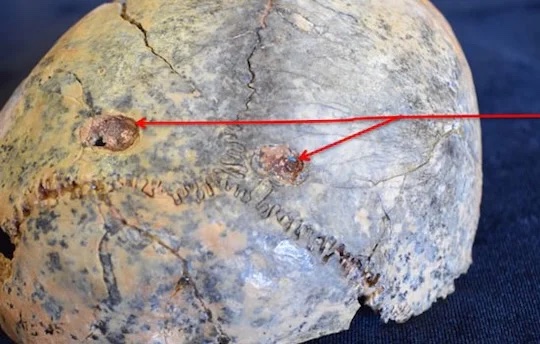 Featured image for AI Uncovers Leopard Attacks on Early Human Ancestors