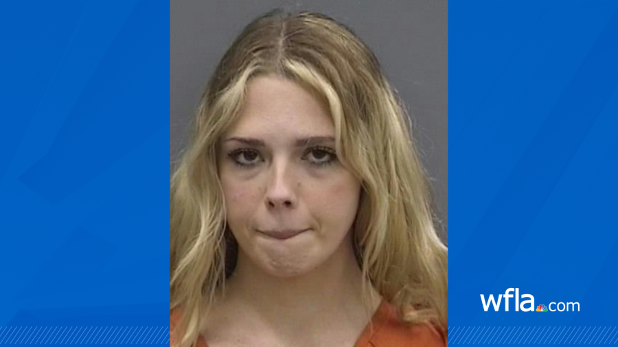 Online Predator: Tampa Woman Posed as Home-School Student to Molest Boy