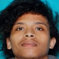 Featured image for Armed Fugitive Sparks Standoff in Makanda and Williamson County