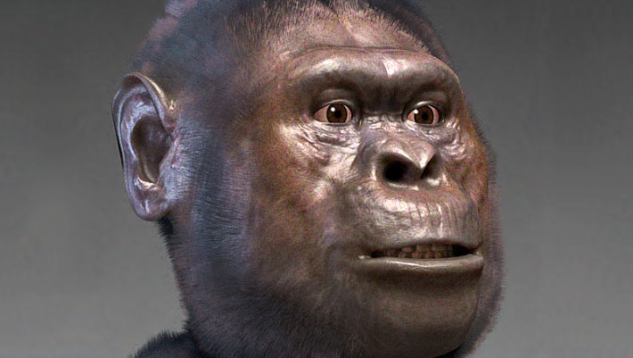 Featured image for Ethiopian Fossils Uncover New Human Ancestor and Evolutionary Insights