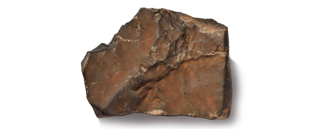 Featured image for Record-Breaking Mars Rock Sells for Over $5 Million at Auction
