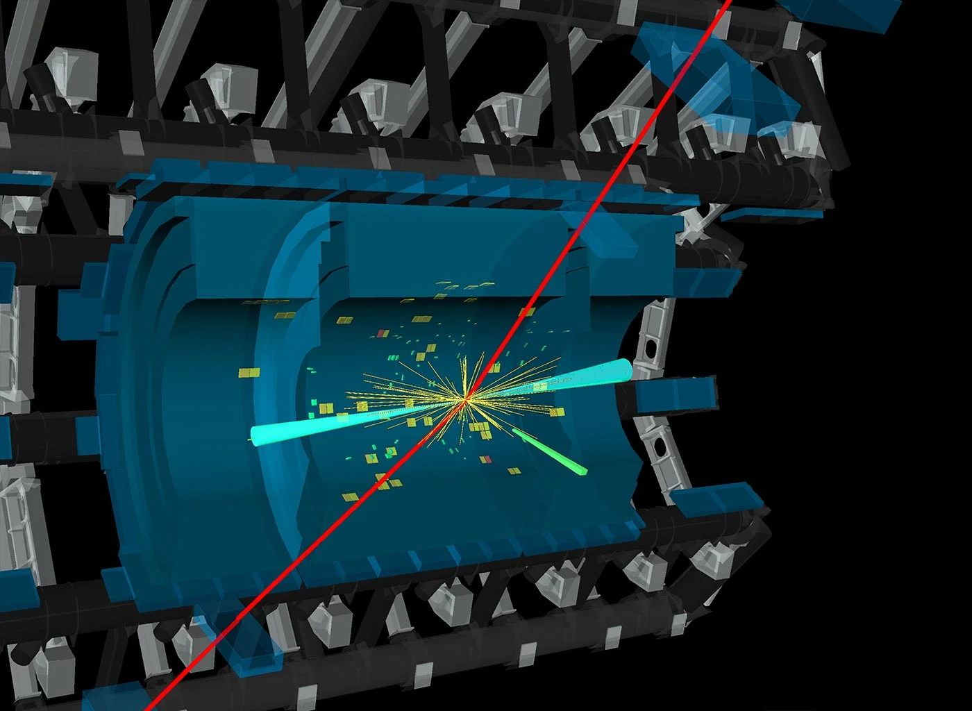 Rare Decay Discovered by Higgs Boson at Large Hadron Collider.