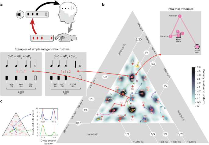 "Cross-Cultural Study: Exploring Global Variations in Music Perception and Rhythm Interpretation"