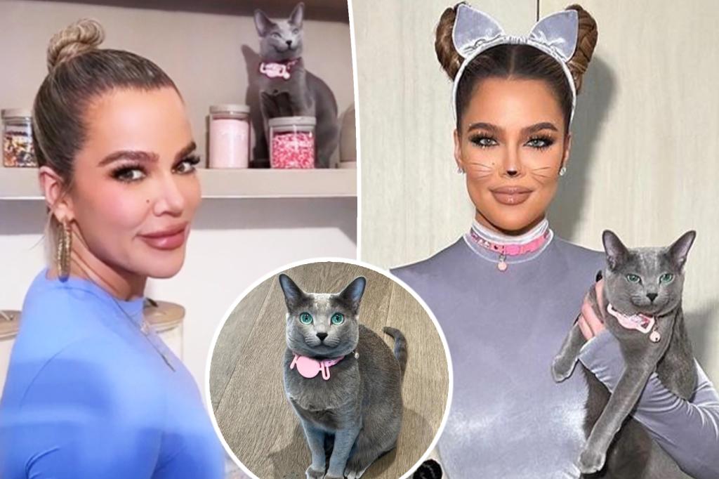 "Khloé Kardashian's Controversial Cat Photos: The Facetune Debate"