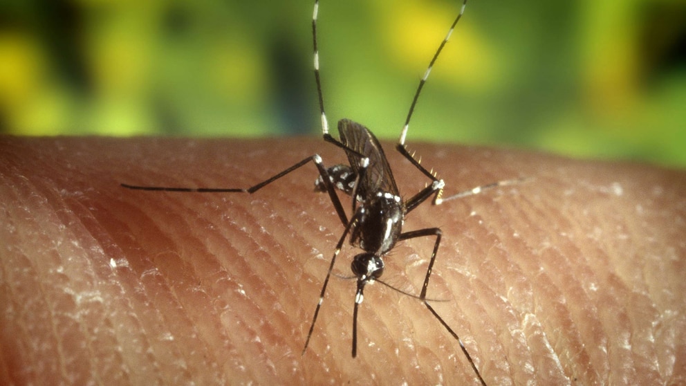 First West Nile Virus Death Reported in Pittsburgh Area