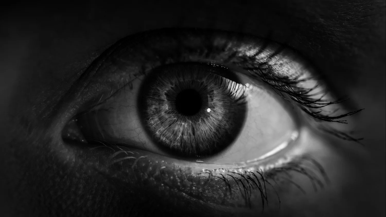 Late-Night Owls Face Elevated Heart Risk, Large UK Study Finds