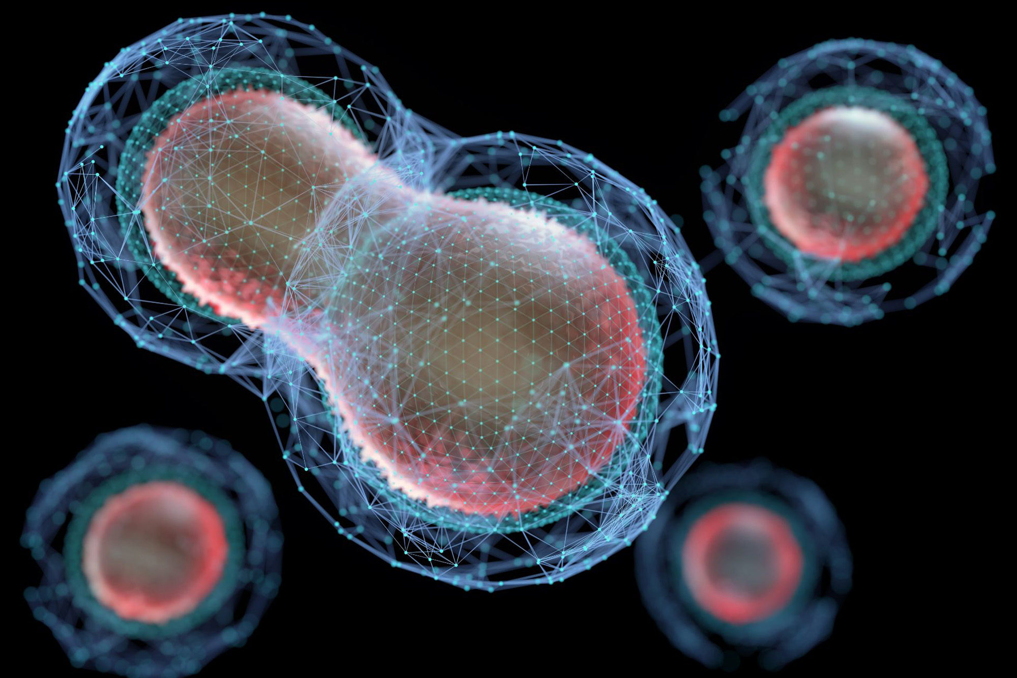 Featured image for Mathematical Model Proposes Cell Revival After Death