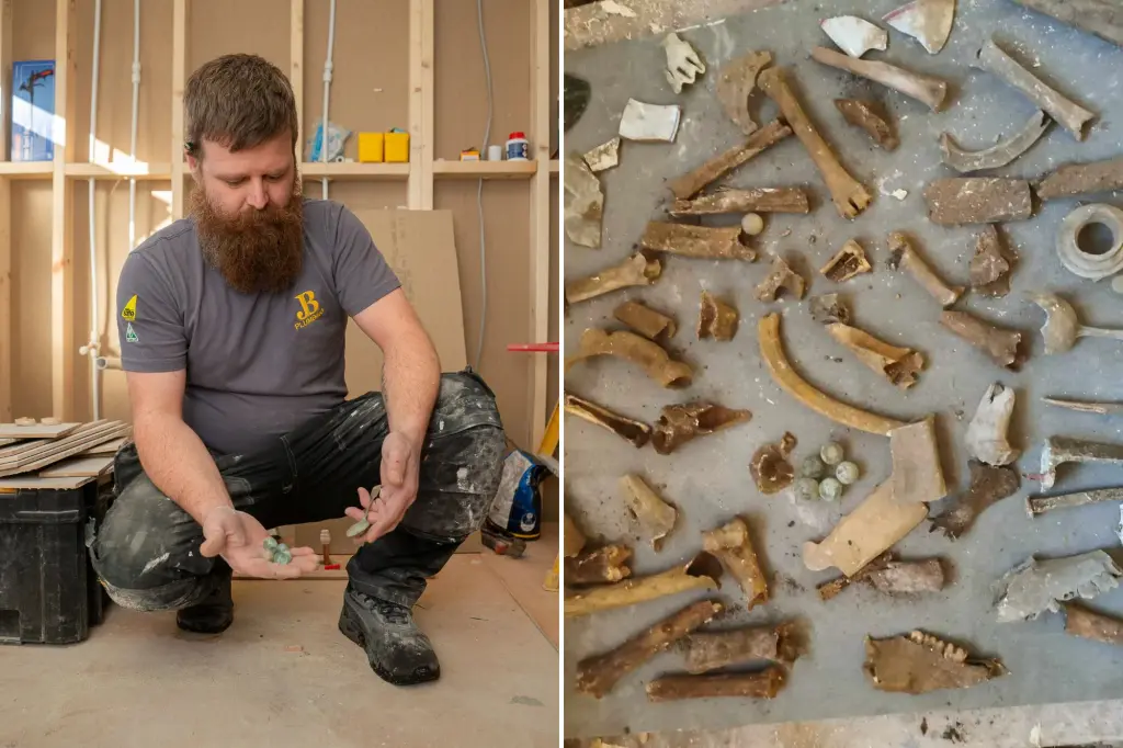 Featured image for "Plumber Uncovers 20 Bones Under Bathroom Floor During Routine Visit"