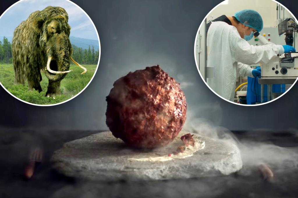 Australian food startup creates world's first woolly mammoth meatball from lab-grown cells.