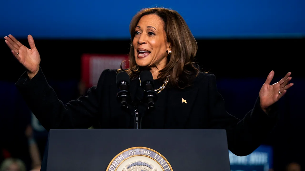 Kamala Harris' Key Strategies for a 2024 Election Victory