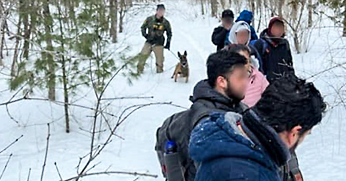 Featured image for Border Crossings Surge in North America, Prompting Calls for Assistance.