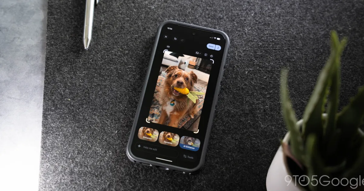 Featured image for Google's Ask Photos feature limited in Texas and Illinois amid new updates