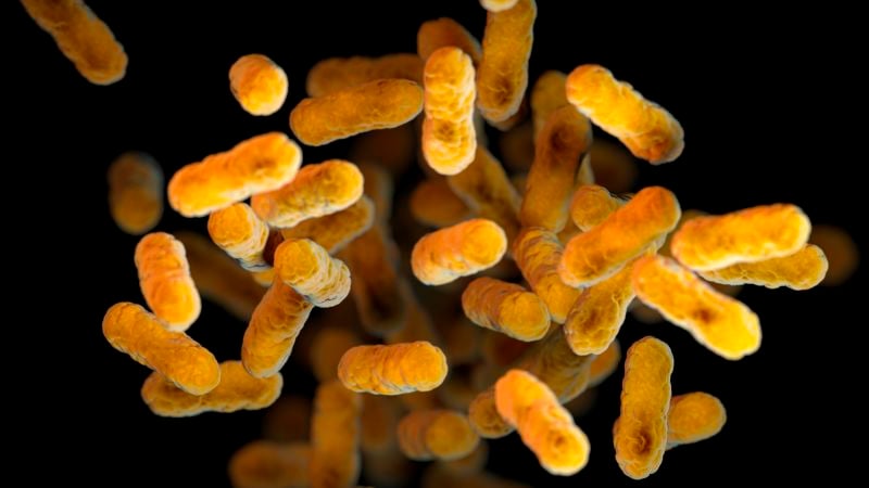 Featured image for US Faces Surge in Whooping Cough Cases Amid Vaccination Decline